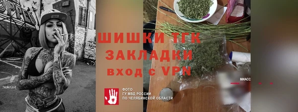 стафф Алексин
