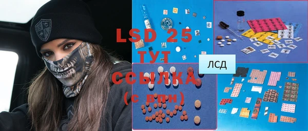 стафф Алексин