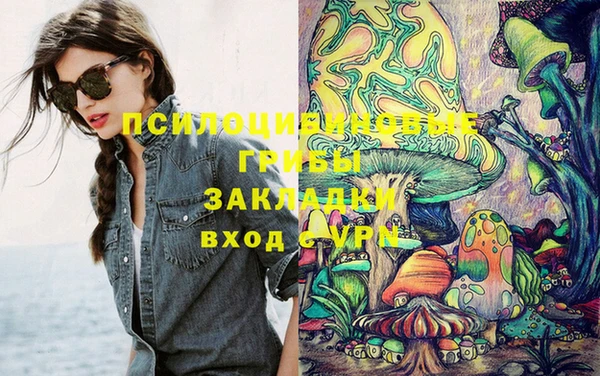 стафф Алексин