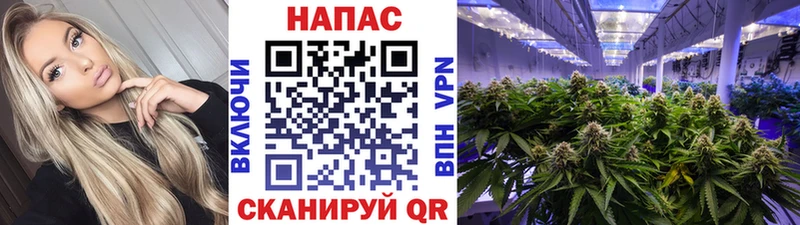 Конопля ГИДРОПОН Похвистнево